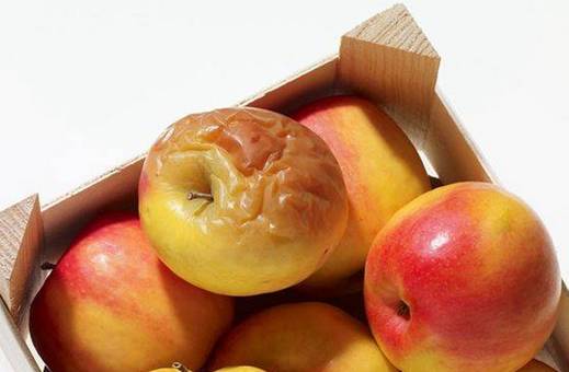 小心！吃了烂水果可能会导致癌症